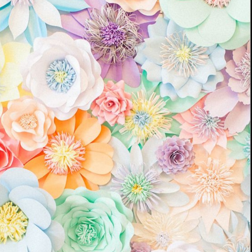 Meet your Posher, Corinna